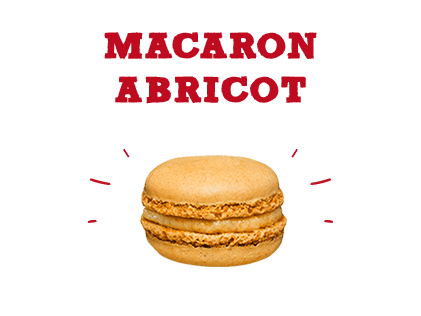 Macaron abricot